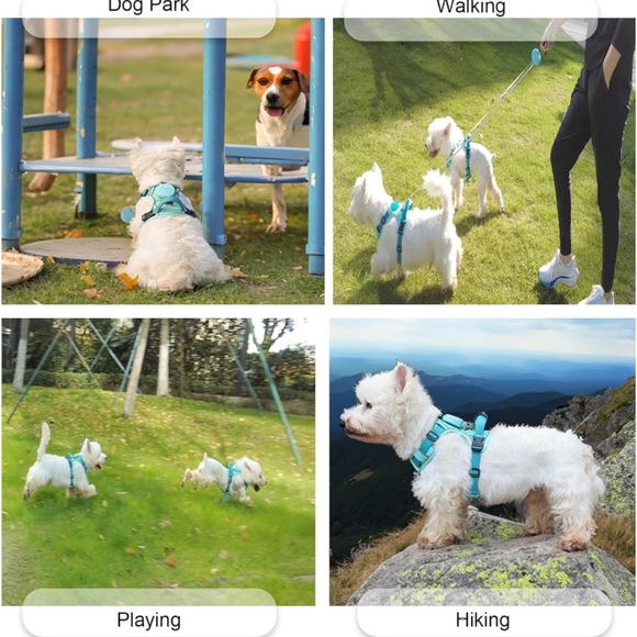 New Dog Harness for XS Dogs up to 16lbs, 3-in-1 No Pull Lightweight Harness - Picture 3 of 16